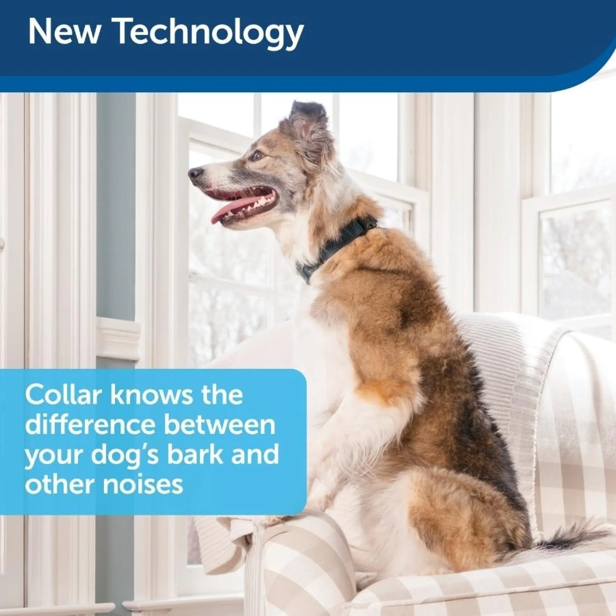 PetSafe Blafband met Spray