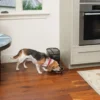 Petsafe Digitaal Automatisch Voersysteem