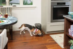 Petsafe Digitaal Automatisch Voersysteem