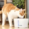 Petsafe Drinkfontein Viva