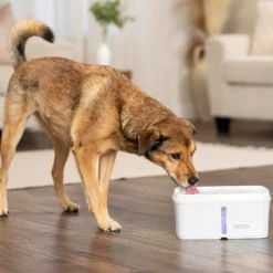 Petsafe Drinkfontein Viva