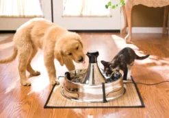 Petsafe Drinkwell 360 Drinkfontein roestvrijstaal