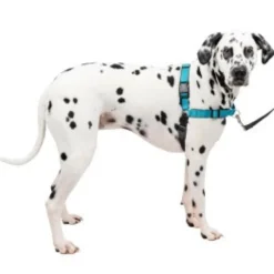 Petsafe Easy Walk Tuig Ocean