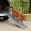 Petsafe Extra Long Telescoping Hondenloopplank