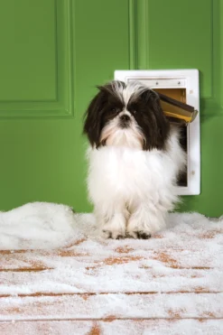 PetSafe Extreem Weer Honden- en Kattenluik
