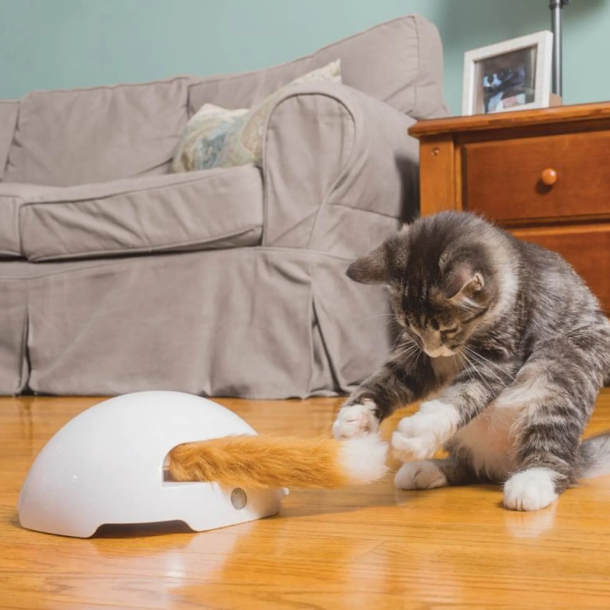Petsafe Frolicat Vossenstaart