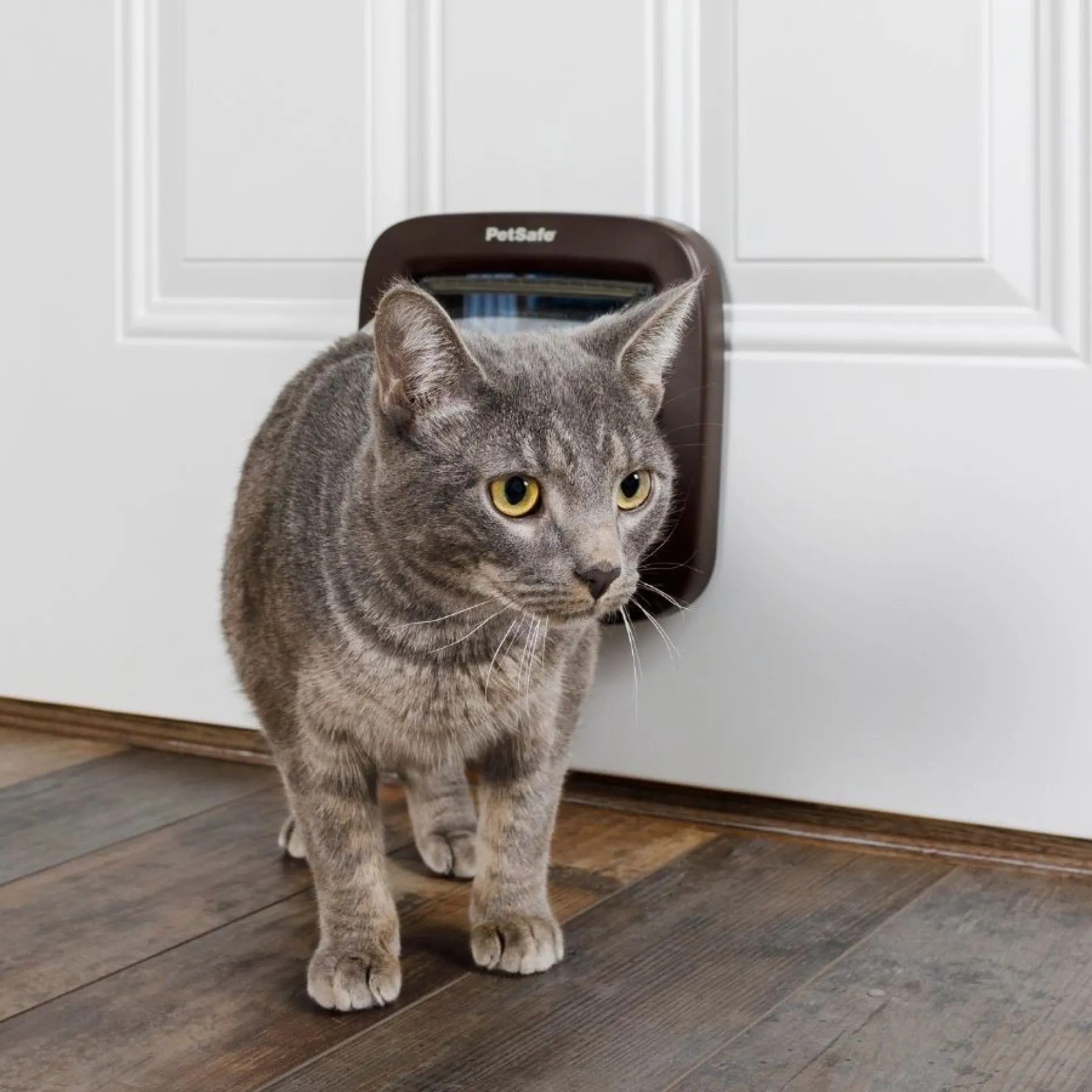 PetSafe Handmatig Vergrendelbaar Kattenluik - Bruin