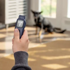 PetSafe Hondentrainer Basic met Afstandsbediening