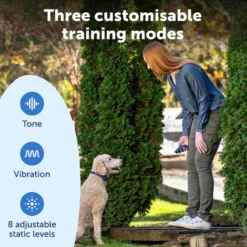 PetSafe Hondentrainer Basic met Afstandsbediening
