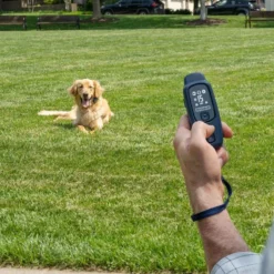 PetSafe Hondentrainer Core met Afstandsbediening