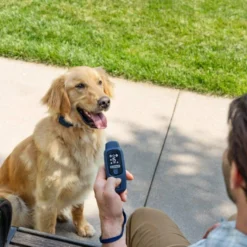 PetSafe Hondentrainer Core met Afstandsbediening