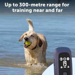 PetSafe Hondentrainer Pro met Afstandsbediening