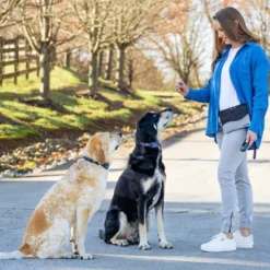 PetSafe Hondentrainer Pro met Afstandsbediening