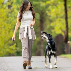 PetSafe Hondentrainer Pro met Afstandsbediening
