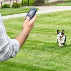PetSafe Hondentrainer Pro met Afstandsbediening