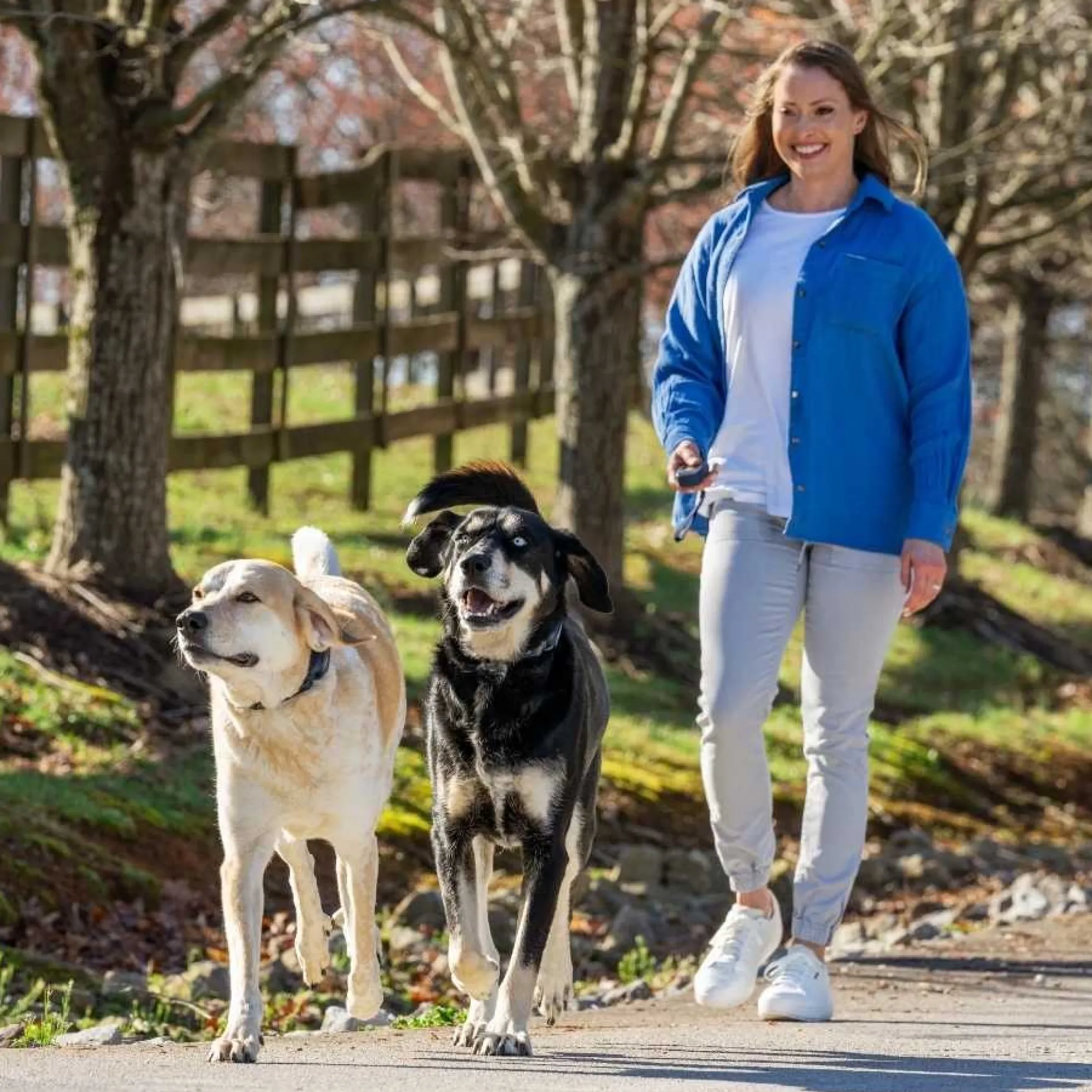 PetSafe Hondentrainer Pro met Afstandsbediening