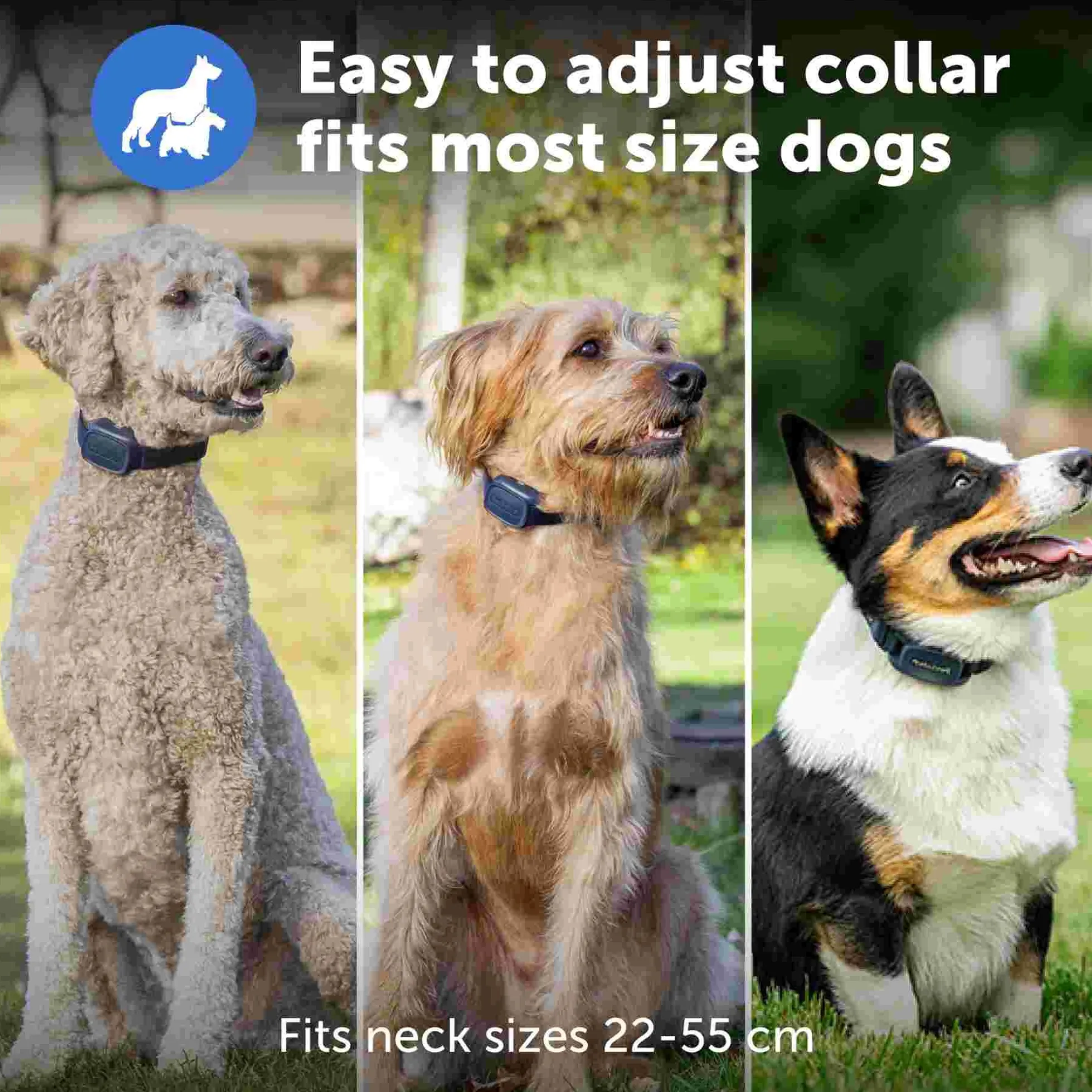 PetSafe Hondentrainer Pro met Afstandsbediening