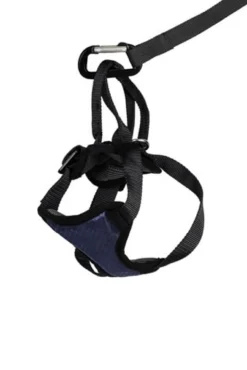 Petsafe Honderharnas DeLuxe Safety