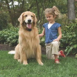 PetSafe In-Ground Fence Onzichtbare Omheining Middelgrote Honden