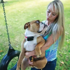 PetSafe In-Ground Fence Onzichtbare Omheining Hardleerse Honden
