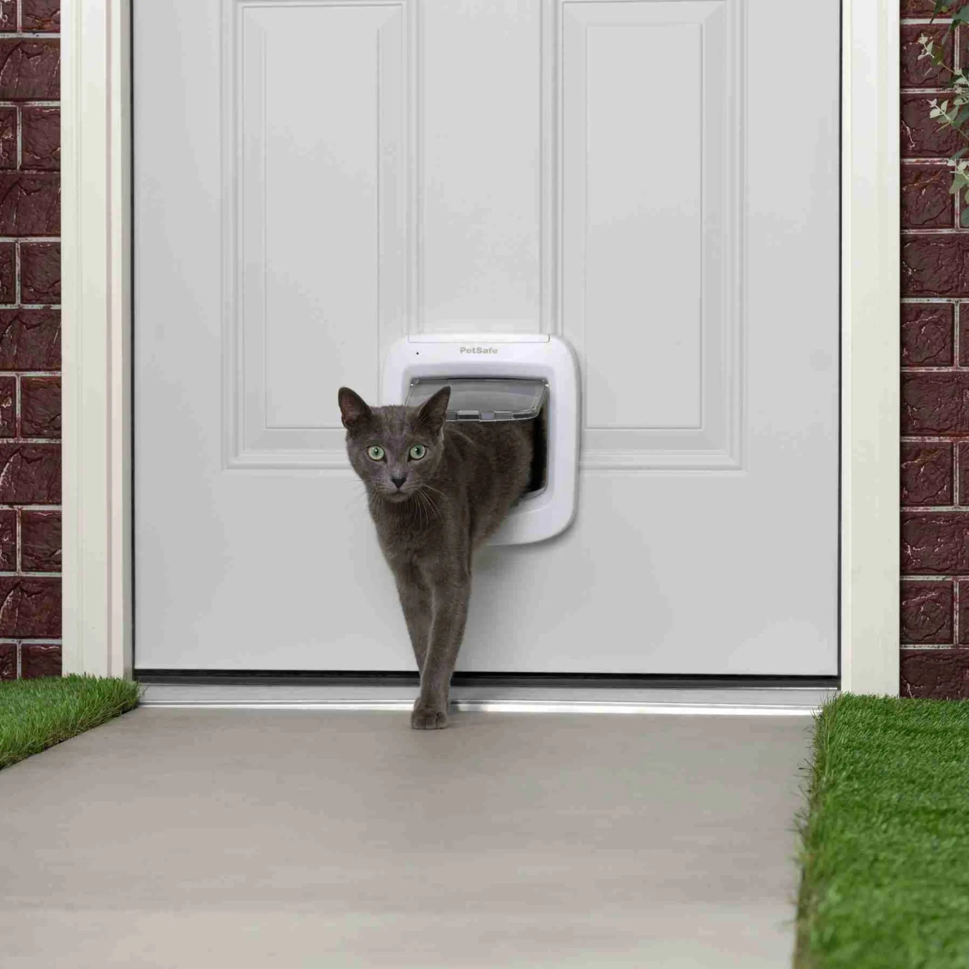 Petsafe Kattenluik Microchip