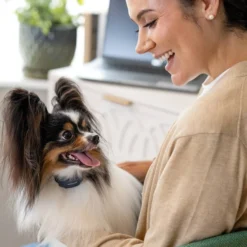 PetSafe NanoBark 2.0 Anti-Blafband