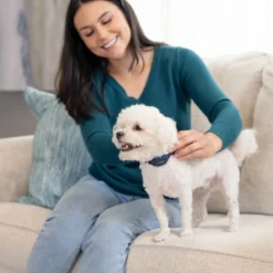 PetSafe NanoBark 2.0 Anti-Blafband