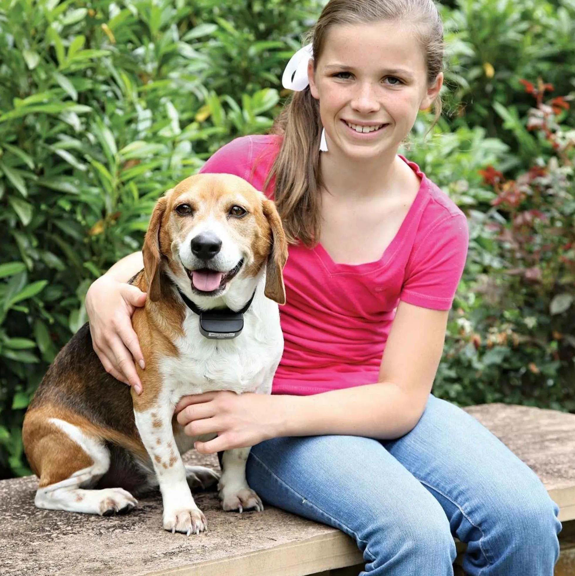 PetSafe Oplaadbare Onzichtbare Omheining