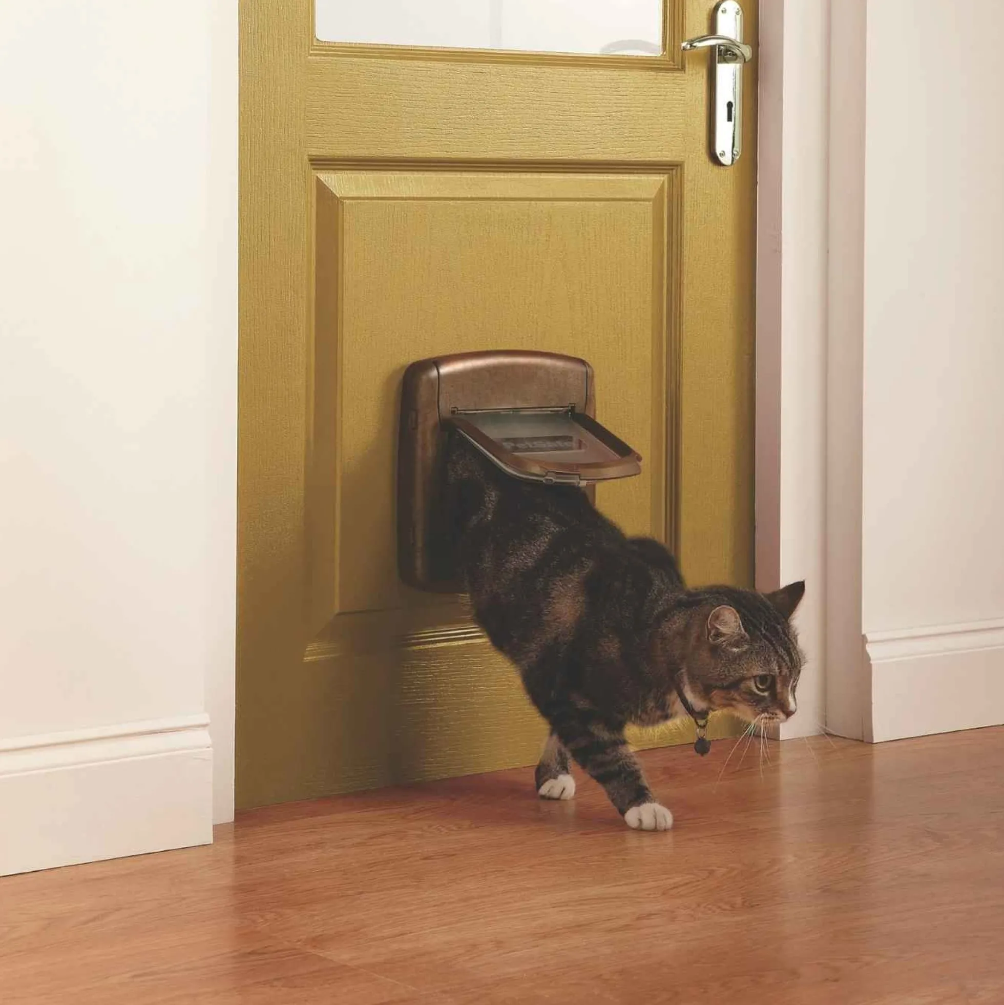PetSafe Staywell Deluxe Kattenluik met Magnetische Halsbandsleutel