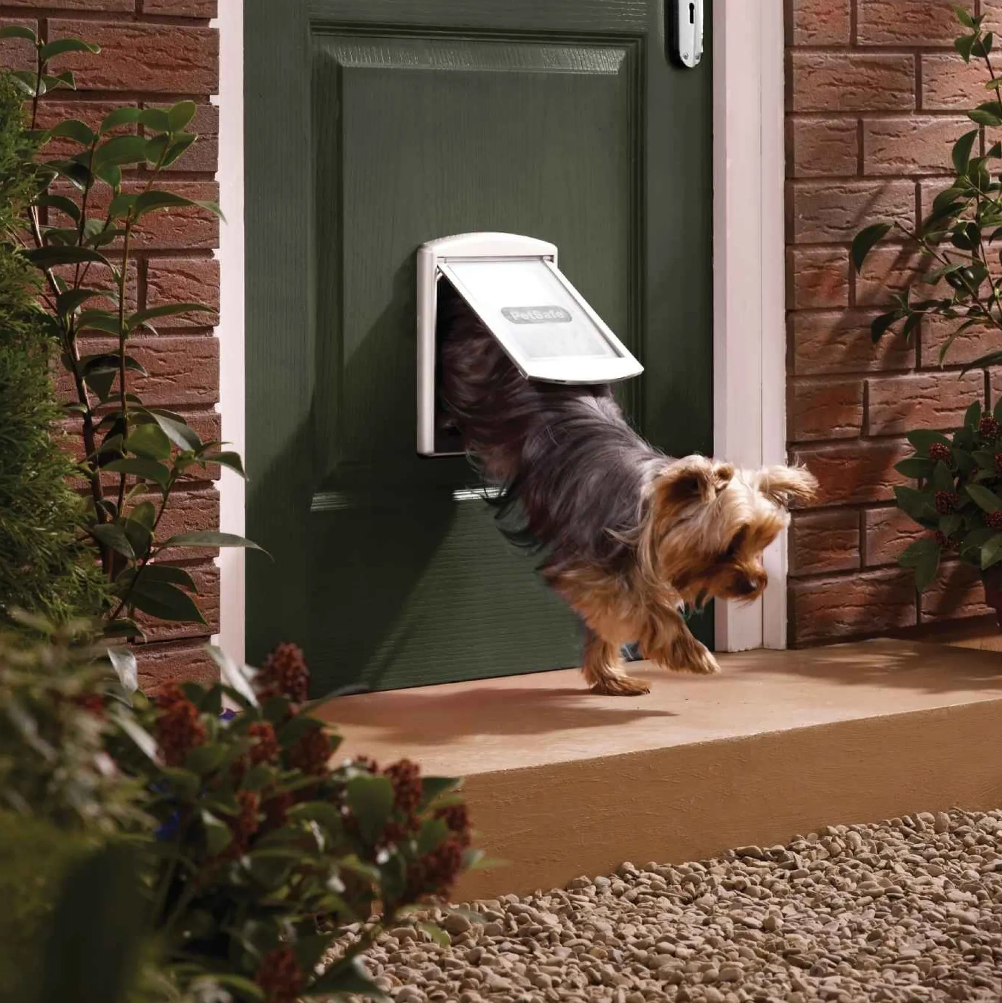PetSafe Staywell 2-Way Honden- en Kattenluik - Wit