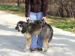 Petsafe Support Harness Carelift