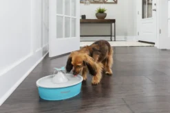 PetSafe Vlinder Drinkfontein 1,5ltr