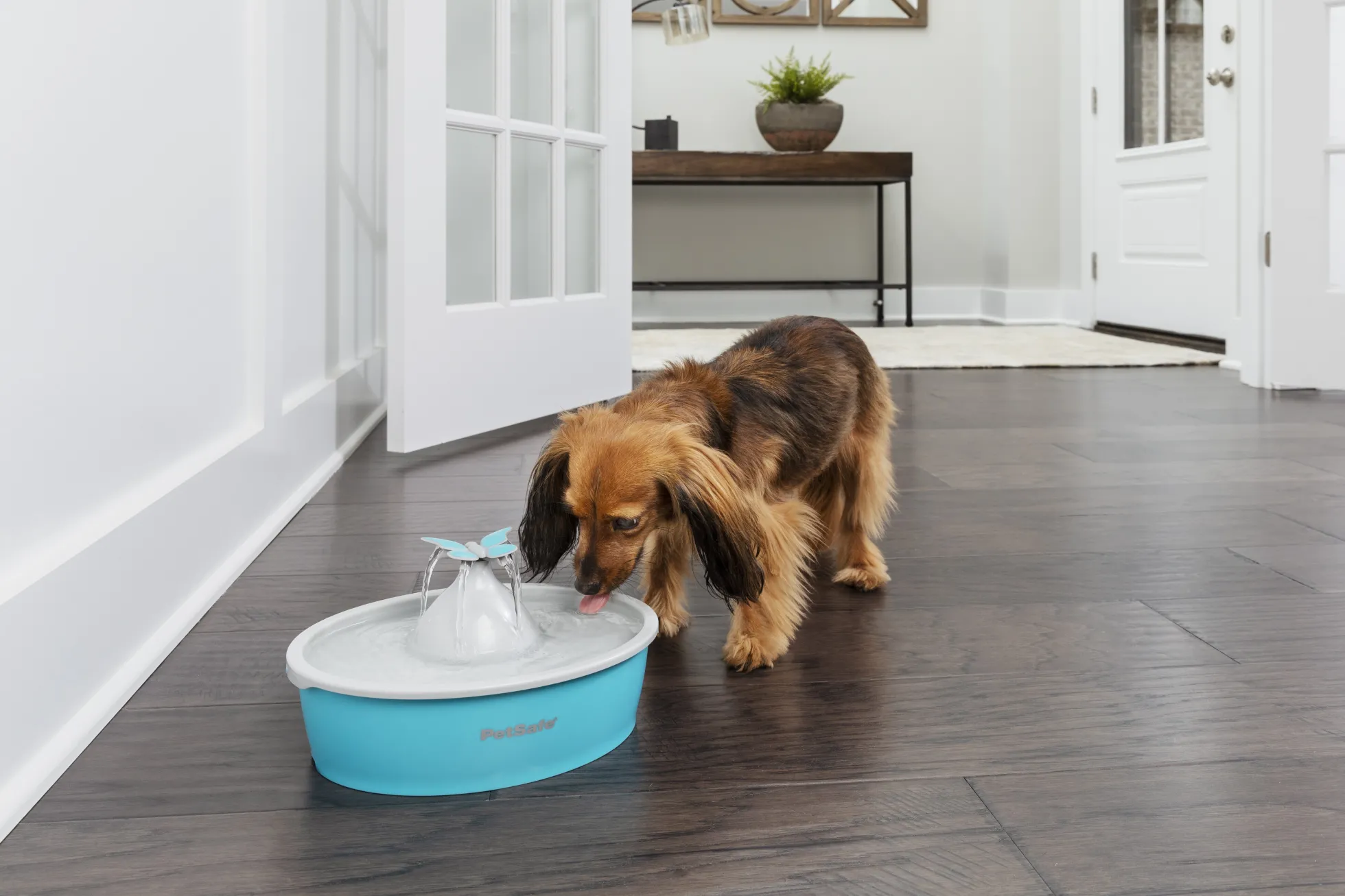 PetSafe Vlinder Drinkfontein 1,5ltr
