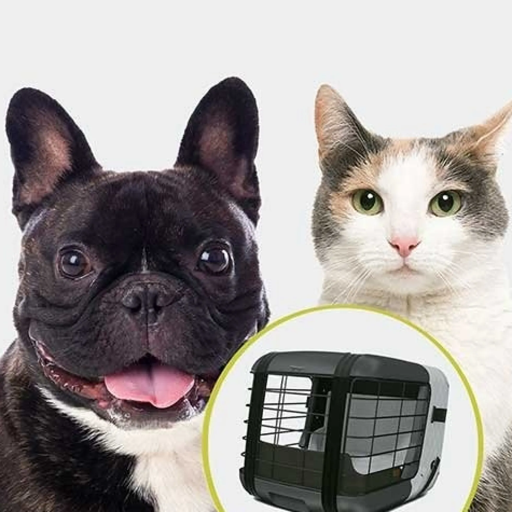 4Pets Caree Box Cool Grey