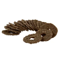 Premier Busy Buddy Bristle Bone
