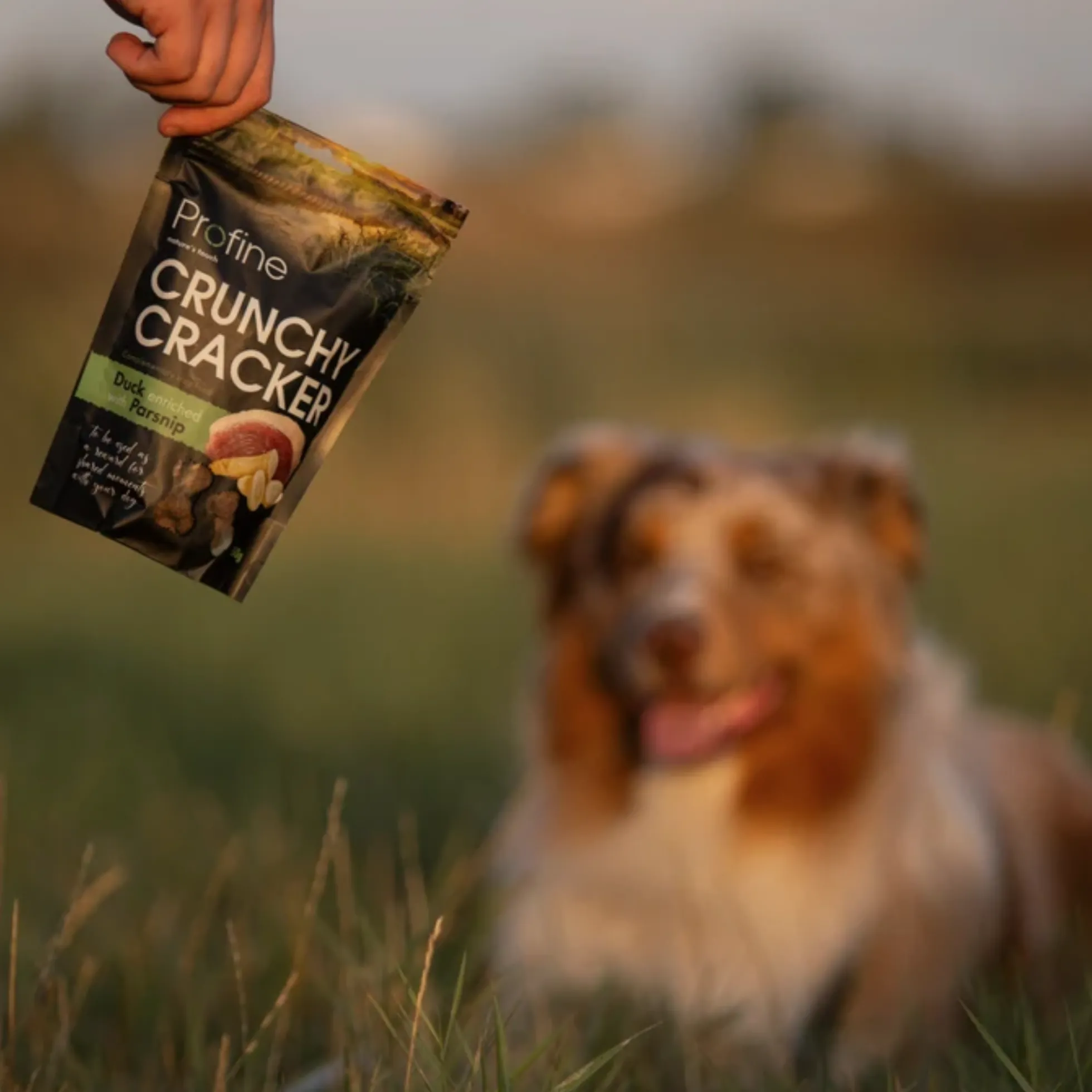 Profine Crunchy Cracker Eend 150 g