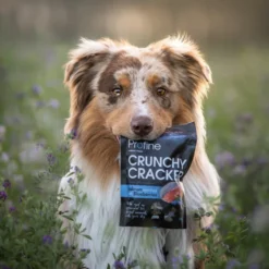 Profine Crunchy Cracker Zalm 150 g