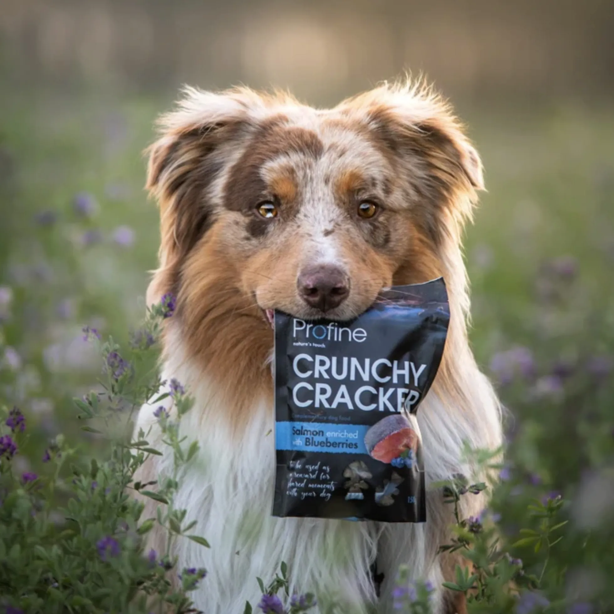 Profine Crunchy Cracker Zalm 150 g