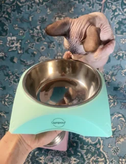 Quapas! Cat bowl Mint green