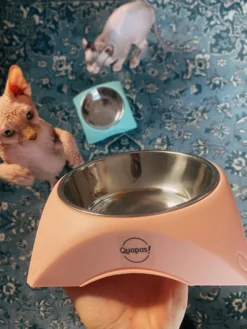 Quapas! Cat bowl Soft pink