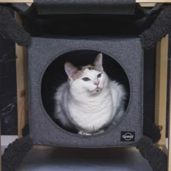 Quapas! Catcube Grijs M