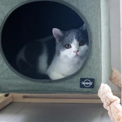Quapas! Catcube Groen L