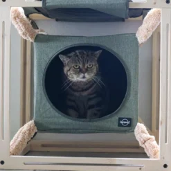 Quapas! Catcube Groen M