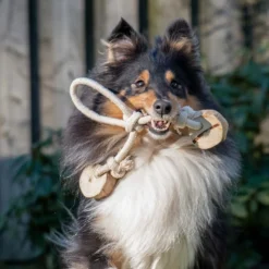 Quapas! Dog Toy Coffeewood Bouncy
