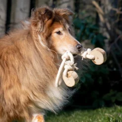 Quapas! Dog Toy Coffeewood Bouncy