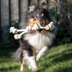 Quapas! Dog Toy Coffeewood Canape
