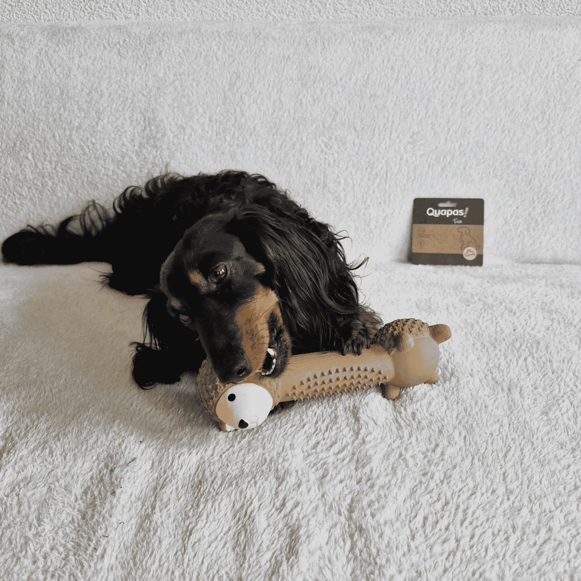 Quapas! Dog Toy Fun sheep