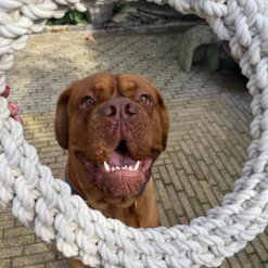 Quapas! Dog Toy Rope L Round