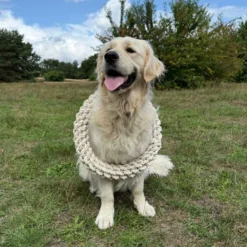 Quapas! Dog Toy Rope L Round