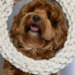 Quapas! Dog Toy Rope L Round